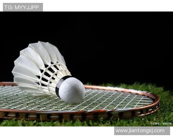 从零基础到高手之路羽毛球意识与技巧全方位提升指南MBA